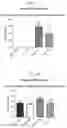 Fig. 11 - Variant RNAi
