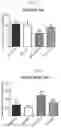 Fig. 13 - Variant RNAi