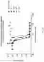 Fig. 15 - Stem-loop compositions and methods for inhibiting factor D