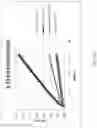 Fig. 18 - Stem-loop compositions and methods for inhibiting factor D