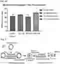 Fig. 03 - Splice inhibiting oligonucleotides
