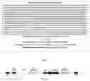 Fig. 08 - Disease Resistant Plants Containing HIR3 Gene and Method for making the plants thereof