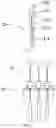 Fig. 03 - NON-PURIFIED NUCLEIC ACID AMPLIFICATION METHOD AND DEVICE