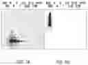 Fig. 10 - LABELING AND DETECTION OF POST TRANSLATIONALLY MODIFIED PROTEINS