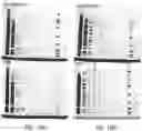 Fig. 21 - LABELING AND DETECTION OF POST TRANSLATIONALLY MODIFIED PROTEINS