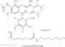 Fig. 42 - LABELING AND DETECTION OF POST TRANSLATIONALLY MODIFIED PROTEINS