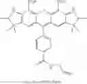 Fig. 49 - LABELING AND DETECTION OF POST TRANSLATIONALLY MODIFIED PROTEINS