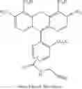 Fig. 50 - LABELING AND DETECTION OF POST TRANSLATIONALLY MODIFIED PROTEINS