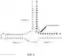Fig. 06 - METHODS FOR RNA ANALYSIS