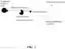 Fig. 03 - Sequencing using non-natural nucleotides