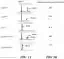 Fig. 04 - Sequencing using non-natural nucleotides