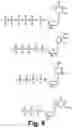Fig. 10 - Method for Sequencing a Polynucleotide