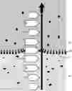 Fig. 01 - FORCE BASED SEQUENCING OF BIOPOLYMERS