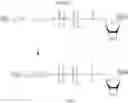 Fig. 09 - Tagged nucleotides useful for nanopore detection