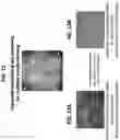 Fig. 14 - Spatial indexing of genetic material and library preparation using hydrogel beads and flow cells