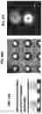 Fig. 18 - Spatial indexing of genetic material and library preparation using hydrogel beads and flow cells