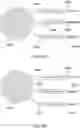 Fig. 60 - Methods and systems for processing polynucleotides