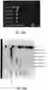 Fig. 84 - Methods and systems for processing polynucleotides