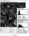Fig. 22 - Multipart reagents having increased avidity for polymerase binding