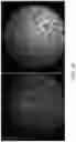 Fig. 31 - Multipart reagents having increased avidity for polymerase binding
