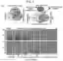 Fig. 02 - Diagnostic methods for infectious disease using endogenous gene expression
