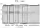 Fig. 04 - Diagnostic methods for infectious disease using endogenous gene expression