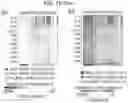 Fig. 11 - Diagnostic methods for infectious disease using endogenous gene expression
