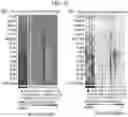 Fig. 14 - Diagnostic methods for infectious disease using endogenous gene expression