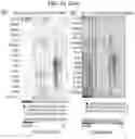 Fig. 15 - Diagnostic methods for infectious disease using endogenous gene expression