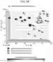 Fig. 33 - Diagnostic methods for infectious disease using endogenous gene expression