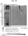 Fig. 36 - Diagnostic methods for infectious disease using endogenous gene expression