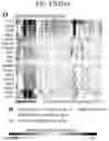 Fig. 37 - Diagnostic methods for infectious disease using endogenous gene expression