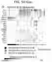 Fig. 38 - Diagnostic methods for infectious disease using endogenous gene expression