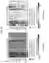 Fig. 42 - Diagnostic methods for infectious disease using endogenous gene expression