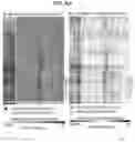 Fig. 46 - Diagnostic methods for infectious disease using endogenous gene expression