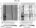 Fig. 49 - Diagnostic methods for infectious disease using endogenous gene expression