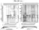 Fig. 50 - Diagnostic methods for infectious disease using endogenous gene expression
