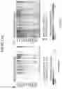 Fig. 52 - Diagnostic methods for infectious disease using endogenous gene expression