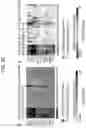 Fig. 53 - Diagnostic methods for infectious disease using endogenous gene expression