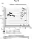 Fig. 61 - Diagnostic methods for infectious disease using endogenous gene expression