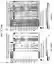 Fig. 63 - Diagnostic methods for infectious disease using endogenous gene expression