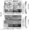 Fig. 64 - Diagnostic methods for infectious disease using endogenous gene expression