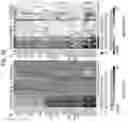 Fig. 66 - Diagnostic methods for infectious disease using endogenous gene expression