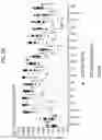 Fig. 74 - Diagnostic methods for infectious disease using endogenous gene expression