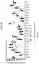 Fig. 75 - Diagnostic methods for infectious disease using endogenous gene expression