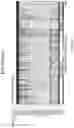 Fig. 89 - Diagnostic methods for infectious disease using endogenous gene expression