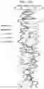 Fig. 94 - Diagnostic methods for infectious disease using endogenous gene expression