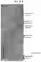 Fig. 95 - Diagnostic methods for infectious disease using endogenous gene expression