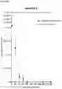 Fig. 05 - Methods for therapeutics prescreening in bodily fluids