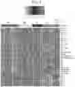 Fig. 06 - Methods for subtyping of head and neck squamous cell carcinoma